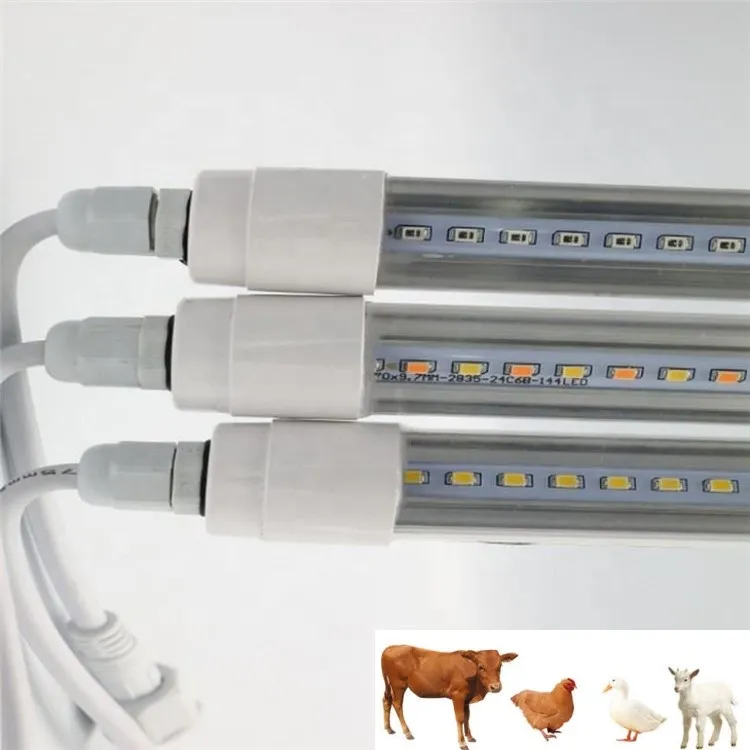 chicken lights for coop