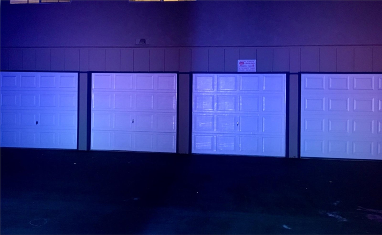 Buyers show-4 Buyers show-4