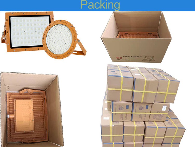 50W Professional Explosion-proof Lights package 50W Professional Explosion-proof Lights package
