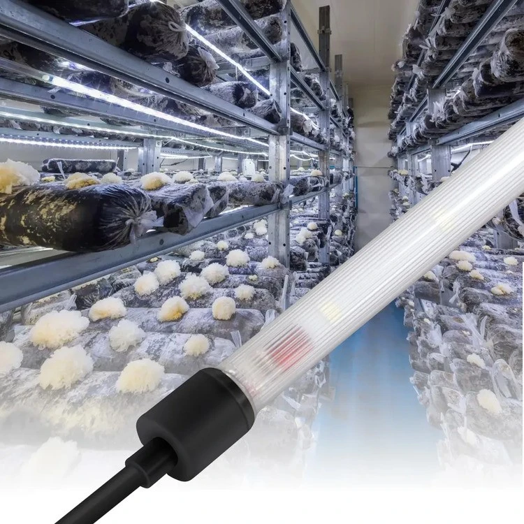 mushroom grow light mushroom grow light