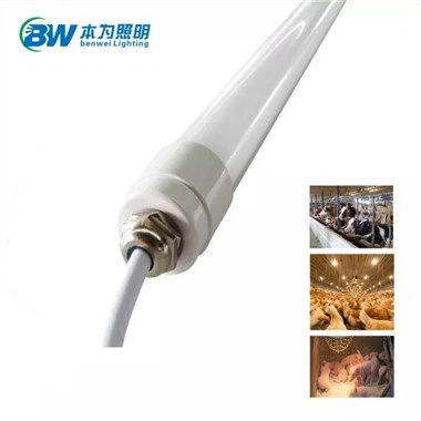 12v Dc Led Tube Light 4 fot