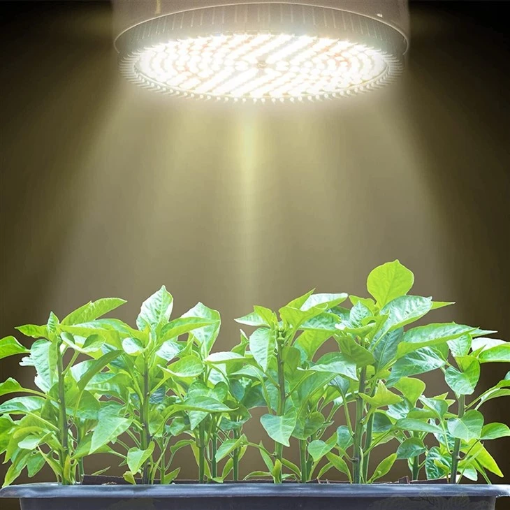 12W Plant Grow Light PAR38