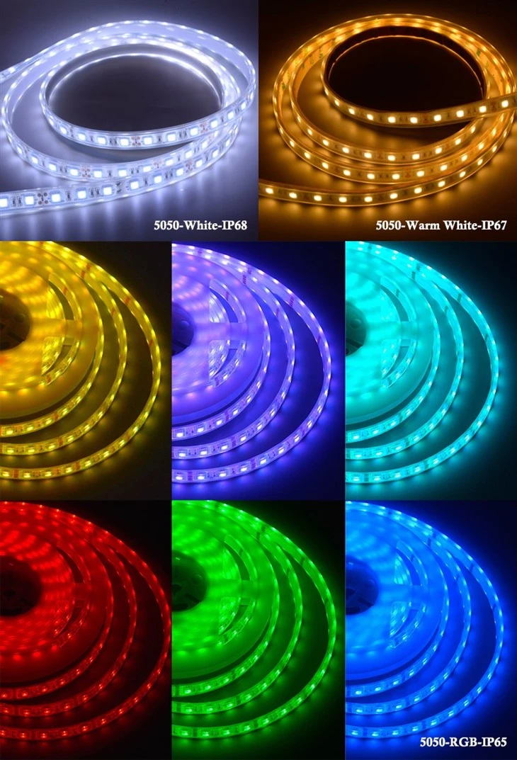 5050 24V RGB CCT Tunable LED Strip Light