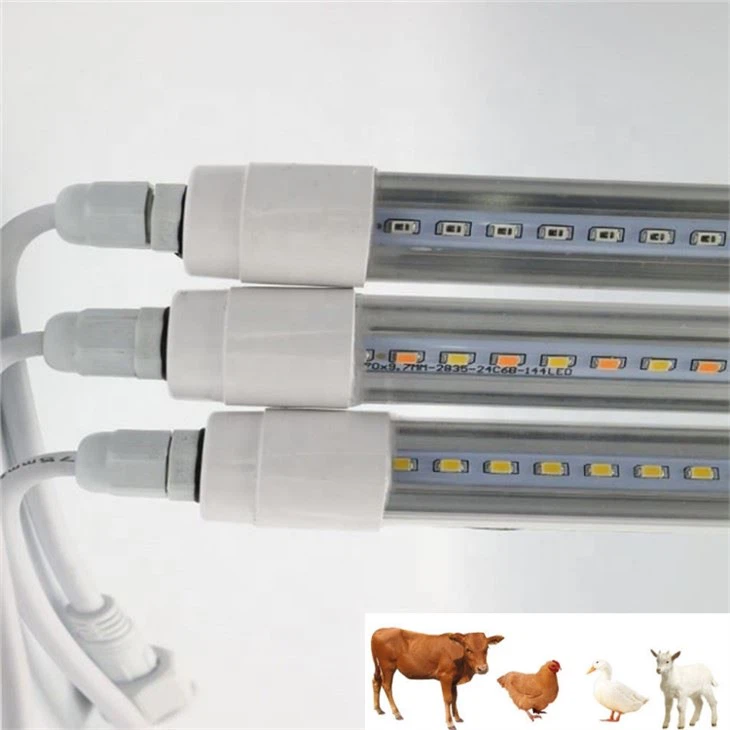 Chicken Light For Coop