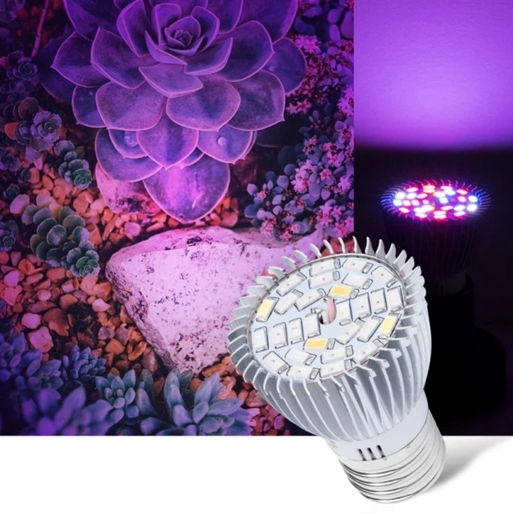 light bulb color spectrum