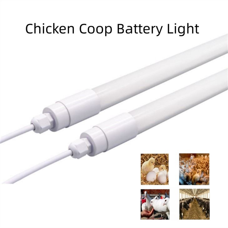 25w Chicken Coop Light 3000k