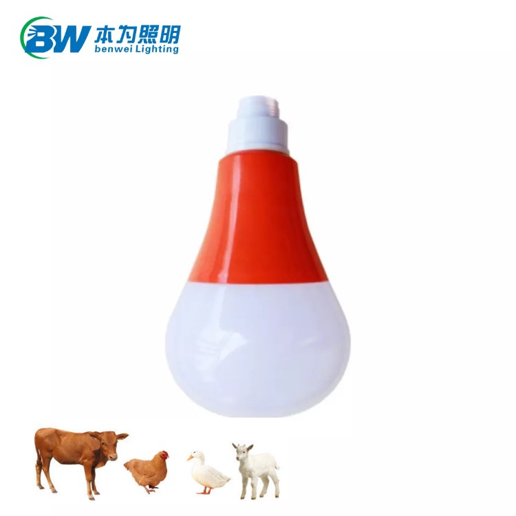 3100K LED Bulb Light