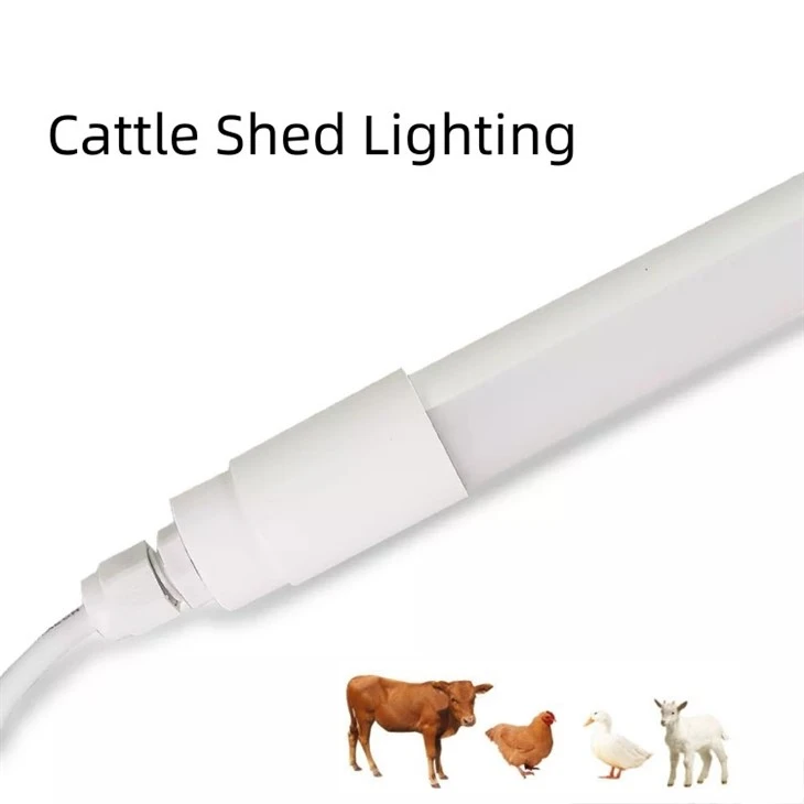 Chicken Light With 0-12V 5400K 25W 20W