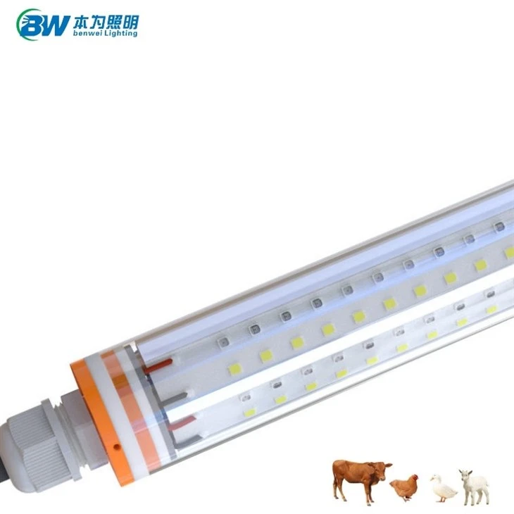 Chicken Light With 0-12V 5400K 25W 20W
