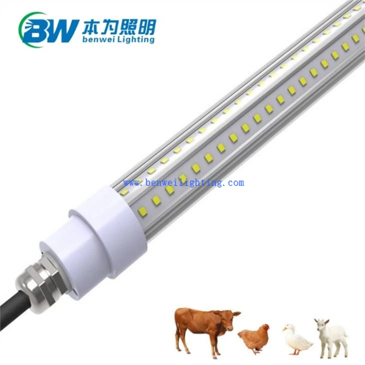 Chicken Light With 0-12V 5700K 15W 12W