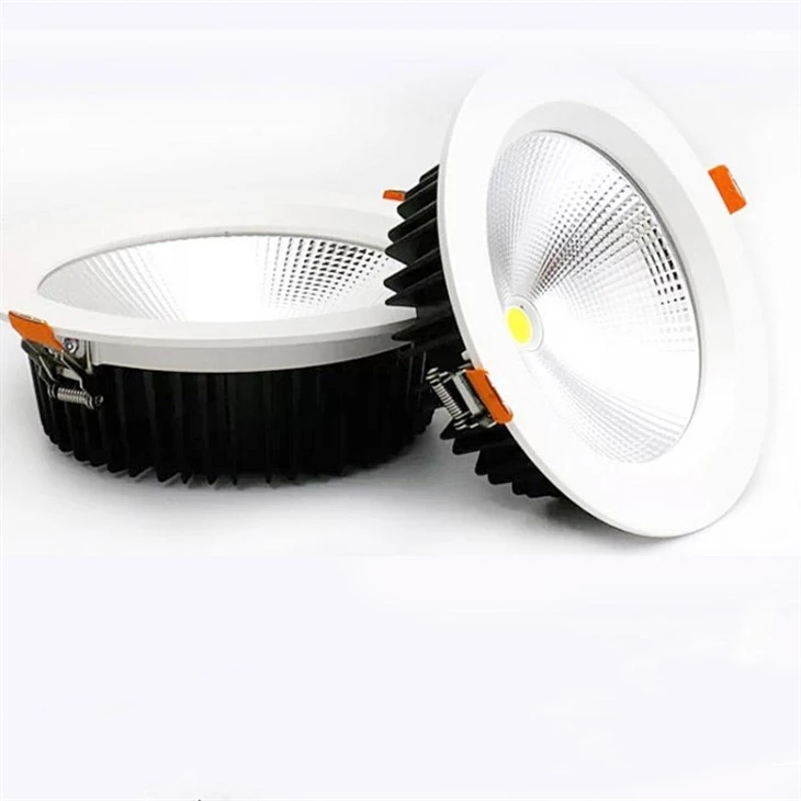 Dimmable Led Downlight 220V