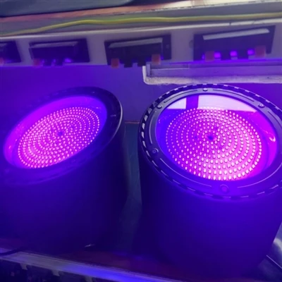 310nm UVB LED-lamper i fotokjemisk katalyse: en ny generasjon høyeffektive ly...