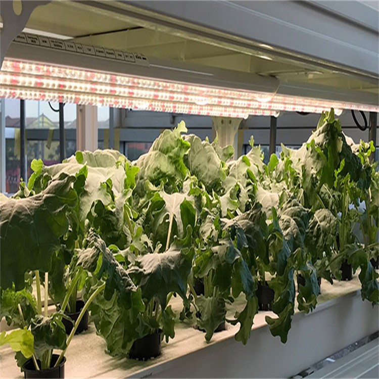 grow led tube installation 6 grow led tube installation 6