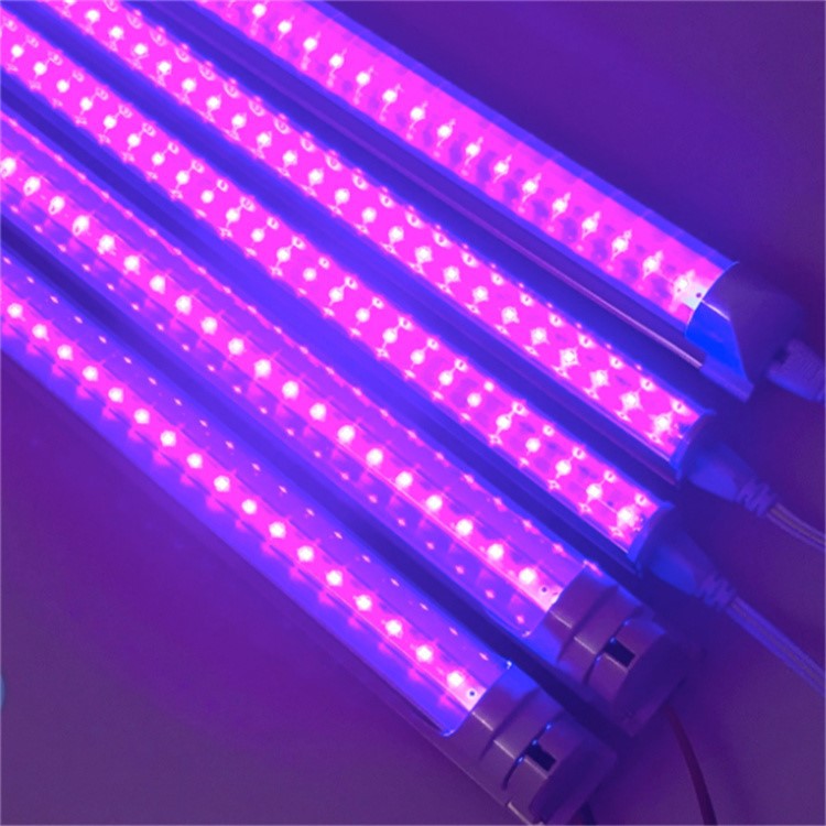 Insect trap light 4