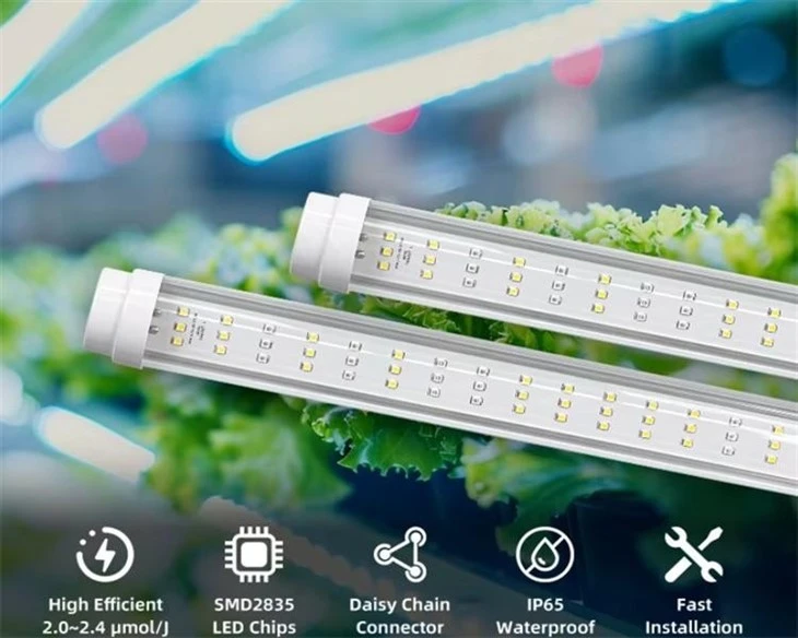 best grow lights for indoor plants