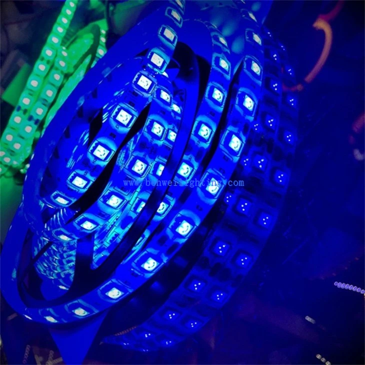 LED Strip Light for Holiday Decor (4)