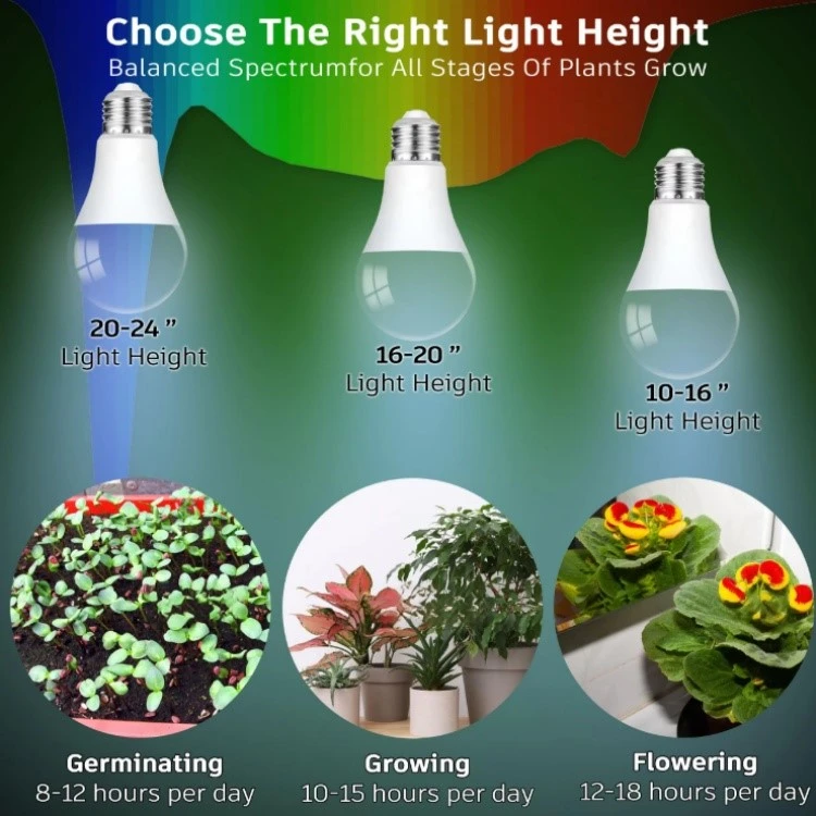 PlantLight PlantLight