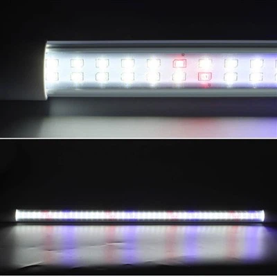 Røde Blå Grow Lights