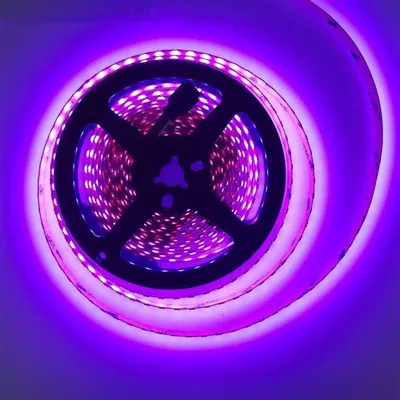 Wifi Rgb Led Strip Light